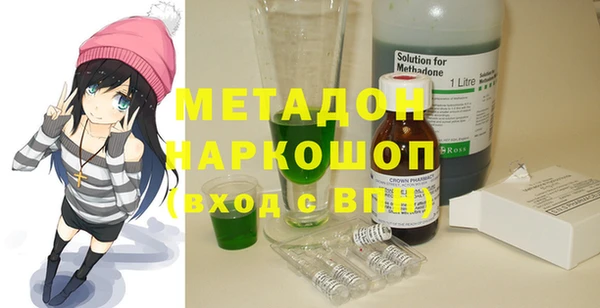 индика Медвежьегорск
