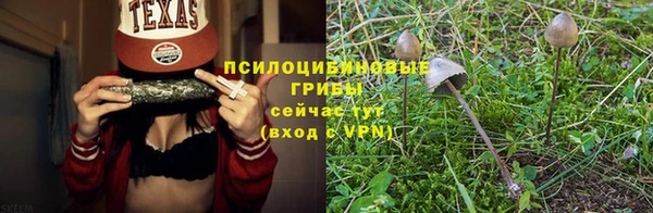 каннабис Баксан