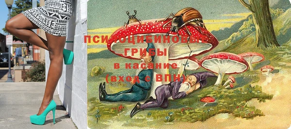мдпв Балахна