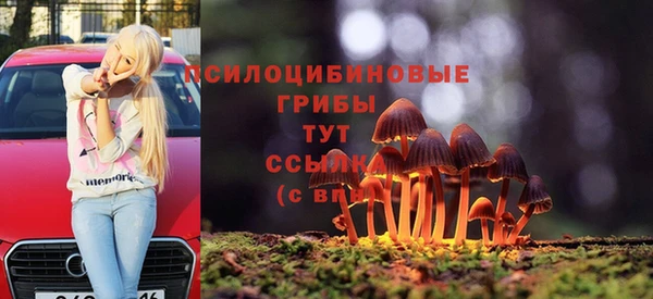 мдпв Балахна