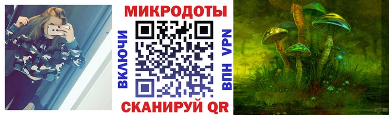 Псилоцибиновые грибы MAGIC MUSHROOMS  мориарти Telegram  Теберда  продажа наркотиков 